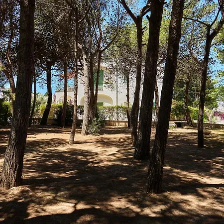 Tenuta Belvedere Aparthotel 2*