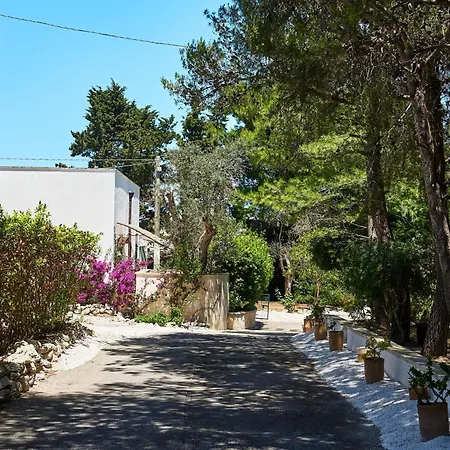 Tenuta Belvedere