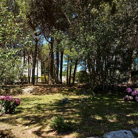 Tenuta Belvedere Otranto